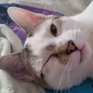 Meet your Posher, Kym